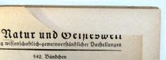 - ([...], Werner[?]), Ausschnitt: Name; '[...] [Werner ? /  Walter ?]'. 