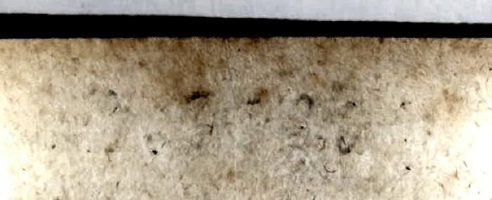 - (unbekannt), Radiert / Rasiert: ; '[...] 3635[?]'. 