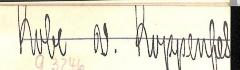 - (Kobe von Koppenfels[?], [...]), Von Hand: Name; 'Kobe v. Koppenfels[?]'. 