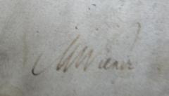- (Wiener[?], M.[?]), Von Hand: Autogramm, Name; 'M Wiener'. 