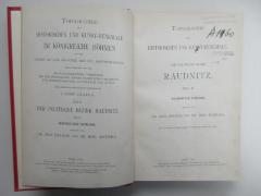 ausgesondert : Topographie der Historischen und Kunst-Denkmale. Der Politische Bezirk Raudnitz. Raudnitzer Schloss. (1910)