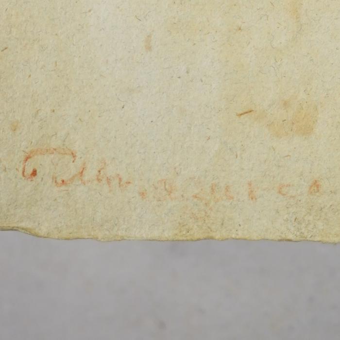 'bol{...]p [...]co'
