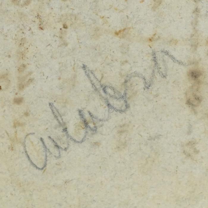'culabra'