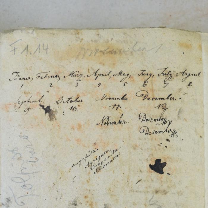 -, Von Hand: Notiz; 'Jänner, Februar, März, April, May, Juny, July, August
1           2                3     4       5      6         7      8
Septemb.     October       November       December. - 
9                     10                11                       12
November     December [?]
December [?]'
