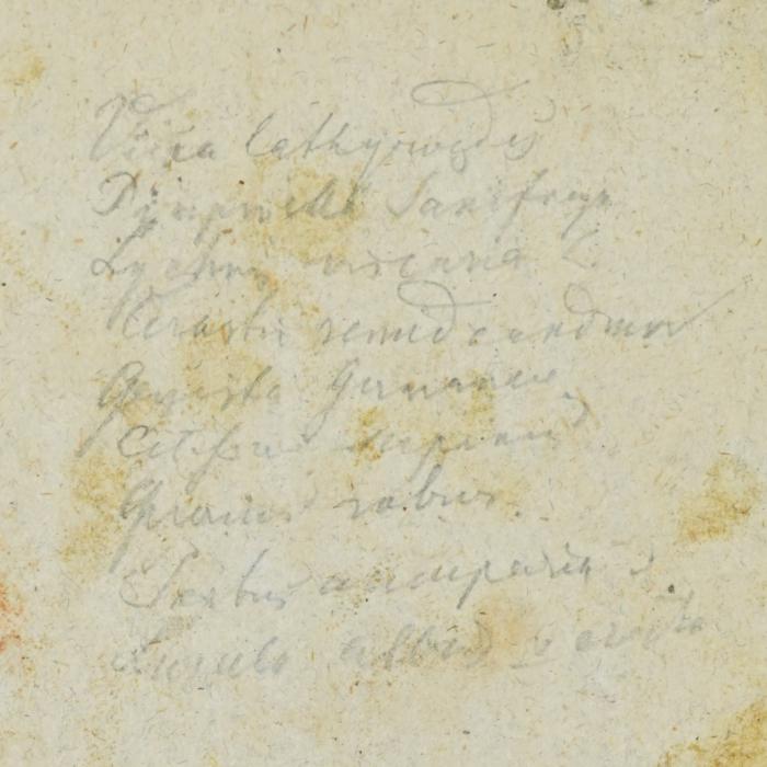 -, Von Hand: Notiz; 'Vilsa lathyrugdy
Dimp [...] Ian[...]
Ly ehn [...]
Kerbsfri senndeundmn
ge[...]
citpue [...]
quaum rabur
Serbus u [...]
[...]
'