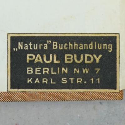 - (Natura ;Budy, Paul), Etikett: Buchhändler; '"Natura" Buchhandlung
PAUL BUDY
BERLIN N W 7
KARL STR. 11'. 
