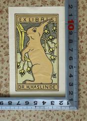 - (Haslinde, Heinz), Etikett: Exlibris; 'Dr. H. Haslinde
'.  (Prototyp)