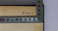 - (Krümmel, Otto), Von Hand: Autogramm, Name; 'Otto Krümmel.'. 