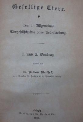 Kg 1851 1-4: Gesellige Tiere (1901)