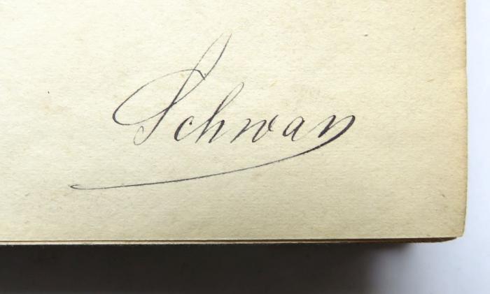 - (Schwan, [?]), Von Hand: Autogramm; 'Schwan'. 