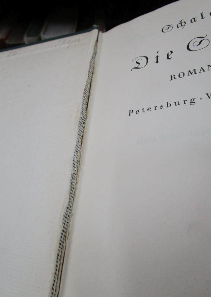 Cv 220: Die Sintflut. Romantrilogie. Petersburg - Warschau - Moskau (1934);- (unbekannt), Ausriss: . 