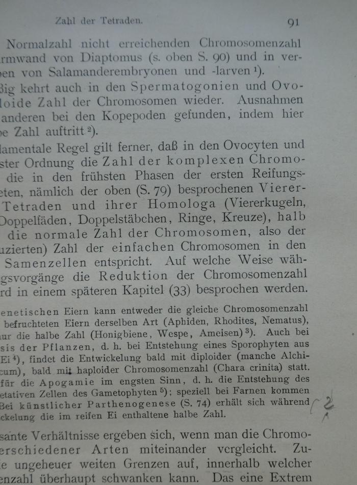 Kg 1802 c: Allgemeine Vererbungslehre (1921);- (Neuberg, Carl), Von Hand: Annotation. 