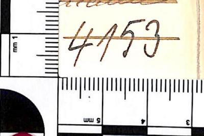 - (NSDAP-Gauarchiv Südhannover-Braunschweig), Von Hand: Signatur; '4153'. 