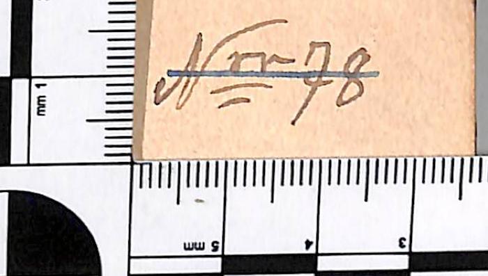 - (Evangelische Kirchengemeinde Waltrop-Datteln), Von Hand: Signatur; 'Nr. 78'. 