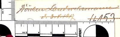 - (Landwehrmann[?], Dörchen[?]), Von Hand: Name; 'Dörchen[?] Landwehrmann[?] d. 3.8.1917'. 