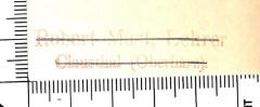 - (Mast, Robert), Stempel: Name, Ortsangabe, Berufsangabe/Titel/Branche; 'Robert Mast, Lehrer. Clausthal (Oberharz)'. 