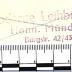- (Moderne Leihbücherei Hann. Münden), Stempel: Name, Ortsangabe, Berufsangabe/Titel/Branche; 'Moderne Leihbücherei / Hann. Münden / Burgstr. 42/43 / Nr. 454 / Gr. D / Pr. -,20

'. 