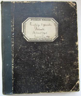  Grundzüge der gesamten Botanik (Ferdinand Cohn) : Sommer Semester 1891 (1891)