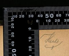 - (Hecht, [?]), Von Hand: Autogramm; 'Hecht'. 