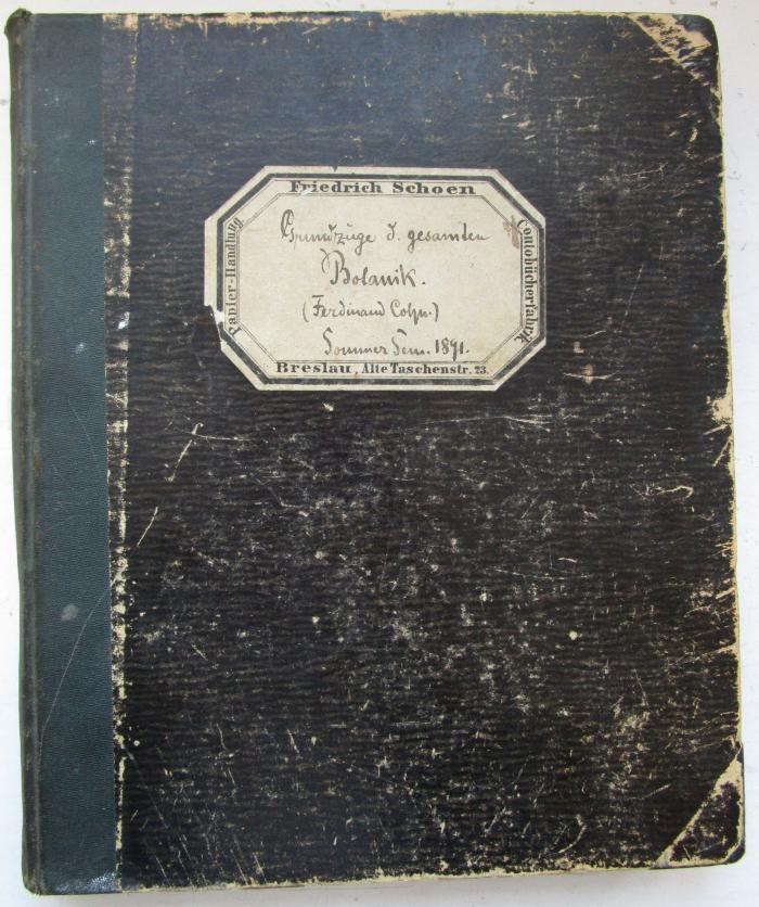  Grundzüge der gesamten Botanik (Ferdinand Cohn) : Sommer Semester 1891 (1891)