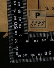 - (Forschungsabteilung Judenfrage des Reichsinstituts für Geschichte des neuen Deutschlands), Etikett: Signatur; 'P 2349'. 