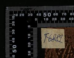 - (The National Library of Israel;Leo Baeck Institute Jerusalem), Durchgestrichen: Exemplarnummer; 'T6889'. 