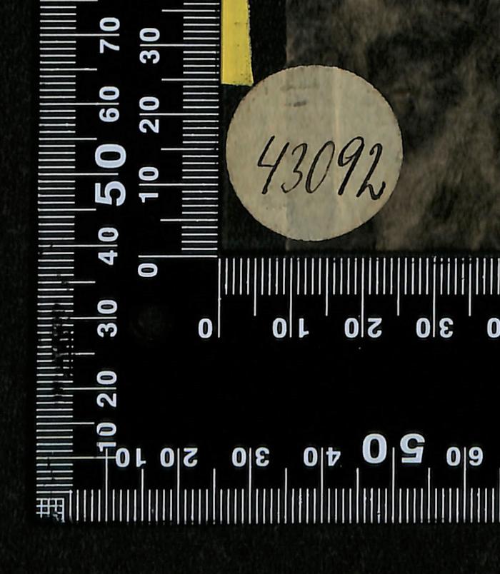 - (Bibliothek der Jüdischen Gemeinde zu Berlin), Etikett: Exemplarnummer; '43092'. 
