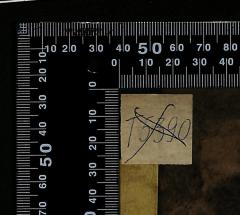 - (The National Library of Israel;Leo Baeck Institute Jerusalem), Durchgestrichen: Exemplarnummer; 'T5390'. 
