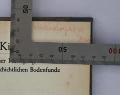 - (Archäologisches Seminar der Universität Berlin), Von Hand: Name, Berufsangabe/Titel/Branche; 'Archäologisches Sem'. 