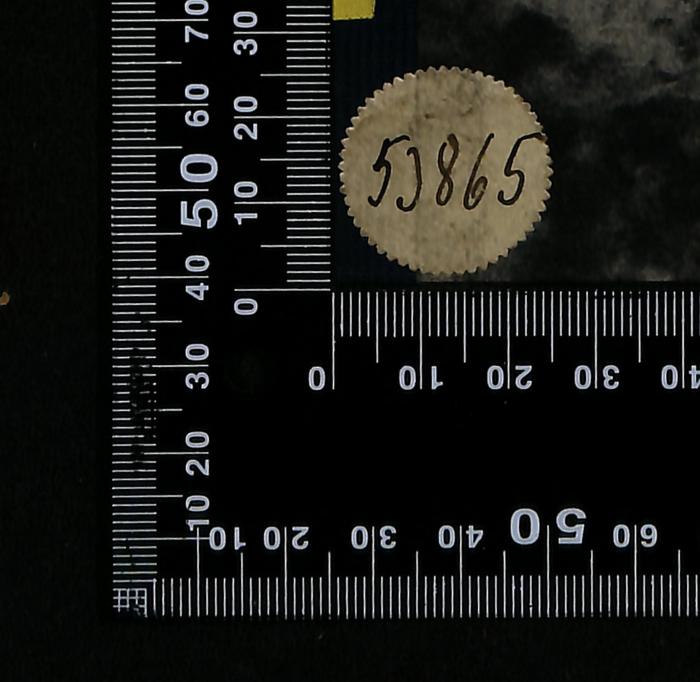 - (Bibliothek der Jüdischen Gemeinde zu Berlin), Etikett: Exemplarnummer; '53865'. 