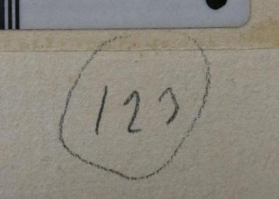 Kk 1214: Über den Stoffwechsel der Tumoren : Arbeiten aus dem Kaiser-Wilhelm-Institut für Biologie Berlin-Dahlem (1926);- (Neuberg, Carl), Von Hand: Annotation; '123'. 