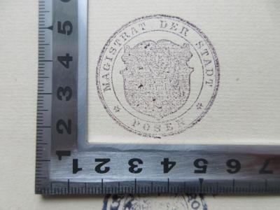 - (Magistrat der Stadt Posen), Stempel: Berufsangabe/Titel/Branche, Ortsangabe; 'Magistrat der Stadt Posen'.  (Prototyp)