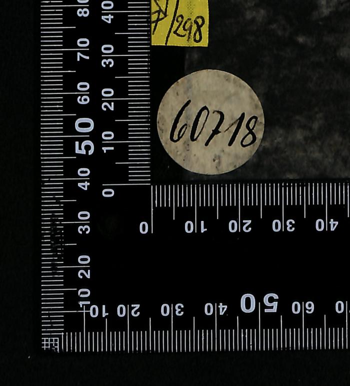 - (Bibliothek der Jüdischen Gemeinde zu Berlin), Etikett: Exemplarnummer; '60718'. 