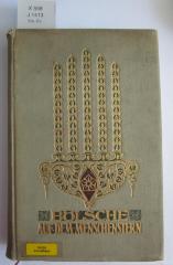 X 558: Auf dem Menschenstern : Gedanken zu Natur und Kunst (1909)