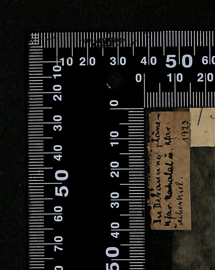 - (Bibliothek der Jüdischen Gemeinde zu Berlin), Etikett: Notiz, Datum; 'Die Bebauung pläne - 
Kfar Nahalal u. Kfar -
Jechskiel

1923'. 