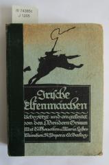III 74385 c: Irische Elfenmärchen übersetzt und eingeleitet von den Brüdern Grimm (1913)