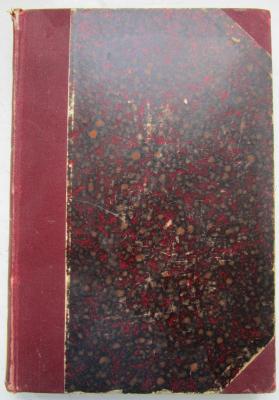 Hm 381: Friedrich Nietzsche (1895)