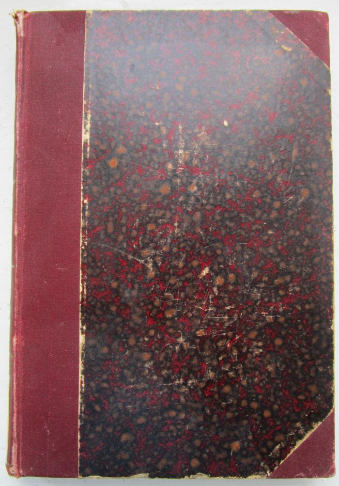 Hm 381: Friedrich Nietzsche (1895)