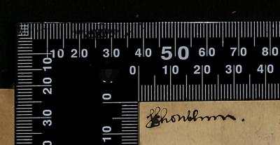 - (Schönblum, Samuel), Von Hand: Autogramm; 'SSchonblum.'. 