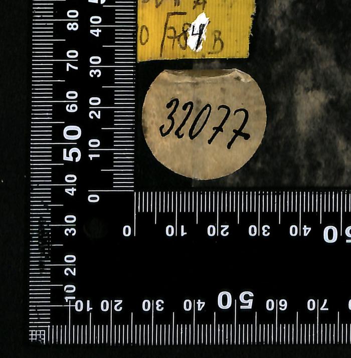 - (Bibliothek der Jüdischen Gemeinde zu Berlin), Etikett: Exemplarnummer; '32077'. 
