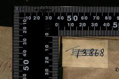 - (The National Library of Israel;Leo Baeck Institute Jerusalem), Durchgestrichen: Exemplarnummer; 'T13868'. 