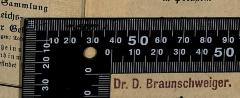 - (Braunschweiger, David), Stempel: Name; 'Dr. D. Braunschweiger.'.  (Prototyp)