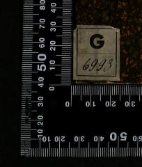 - (Reichsinstitut für Geschichte des neuen Deutschlands), Etikett: Signatur; 'G 6993'. 