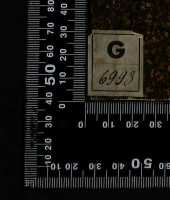 - (Reichsinstitut für Geschichte des neuen Deutschlands), Etikett: Signatur; 'G 6993'. 
