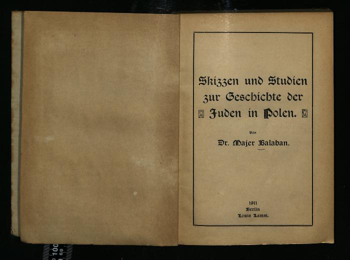 JUD III B 754 : Skizzen und Studien zur Geschichte der Juden in Polen (1911)