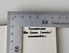 - (Hermann Barnikol), Schwärzung: Berufsangabe/Titel/Branche, Name, Ortsangabe; 'Superintendent  für Herm. Barnikol Inden bei Jülich'. 