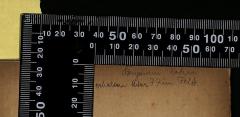 - (Kahn, Benjamin), Von Hand: Name, Datum; 'Benjamin Kahn
erhalten Adar 77 im Feld'. 