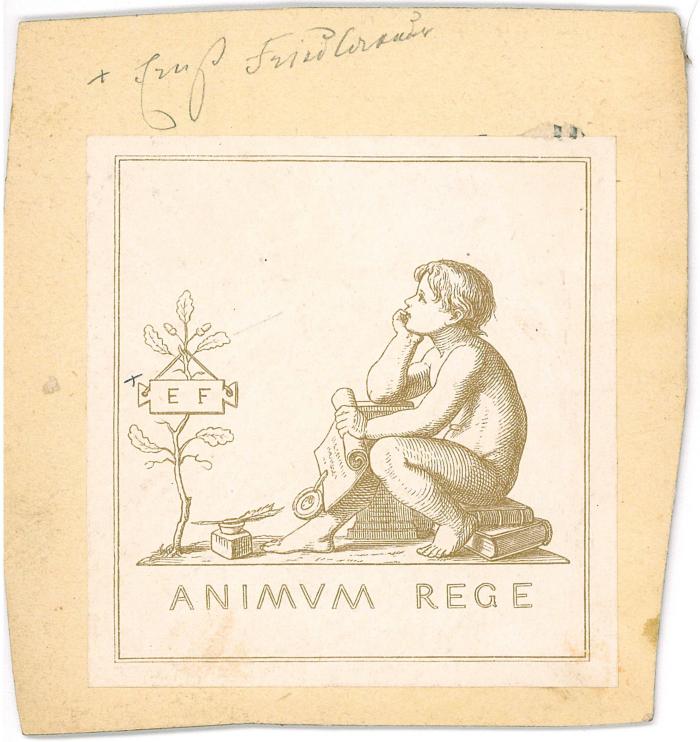 RaW 33;- (unbekannt), Von Hand: Name; '+ Ernst Friedlaender'. 