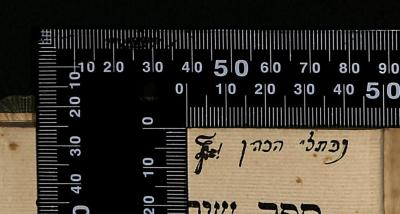 - (HaKohen, Naphtali), Von Hand: Name; '[...] נפתלי הכהן'. 