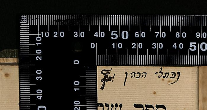 - (HaKohen, Naphtali), Von Hand: Name; '[...] נפתלי הכהן'. 